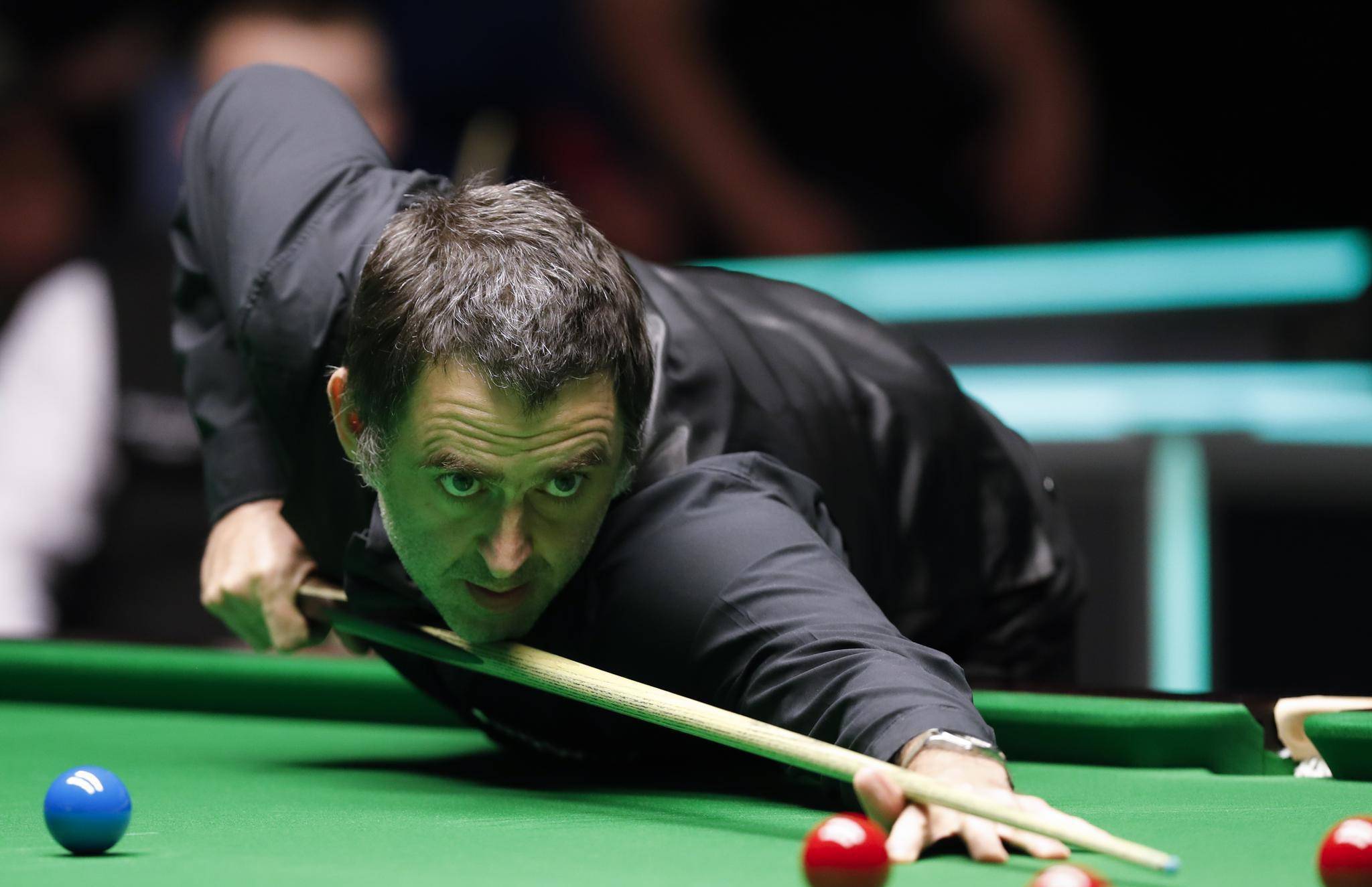 的成长相辅 的成长相辅