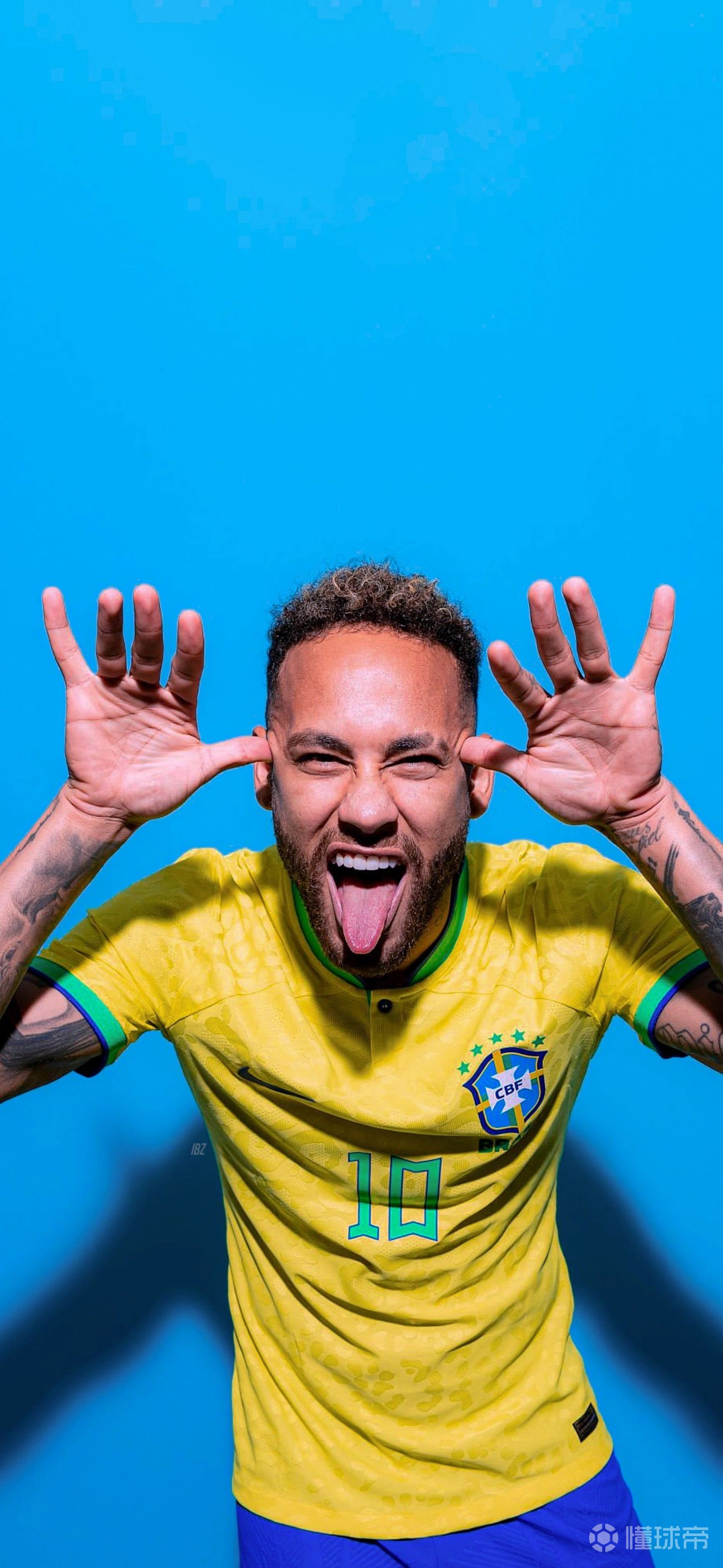 樊振东在欧 樊振东在欧