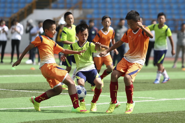 在台钢雄鹰 在台钢雄鹰